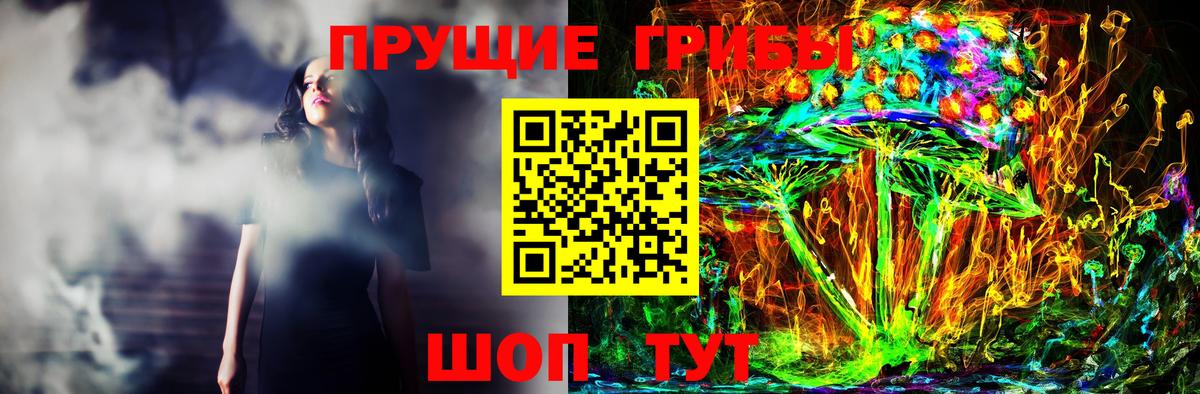 Псилоцибиновые грибы Magic Shrooms  Вход с VPN  Галлюциногенные грибы Magic Shrooms  Карачаевск 